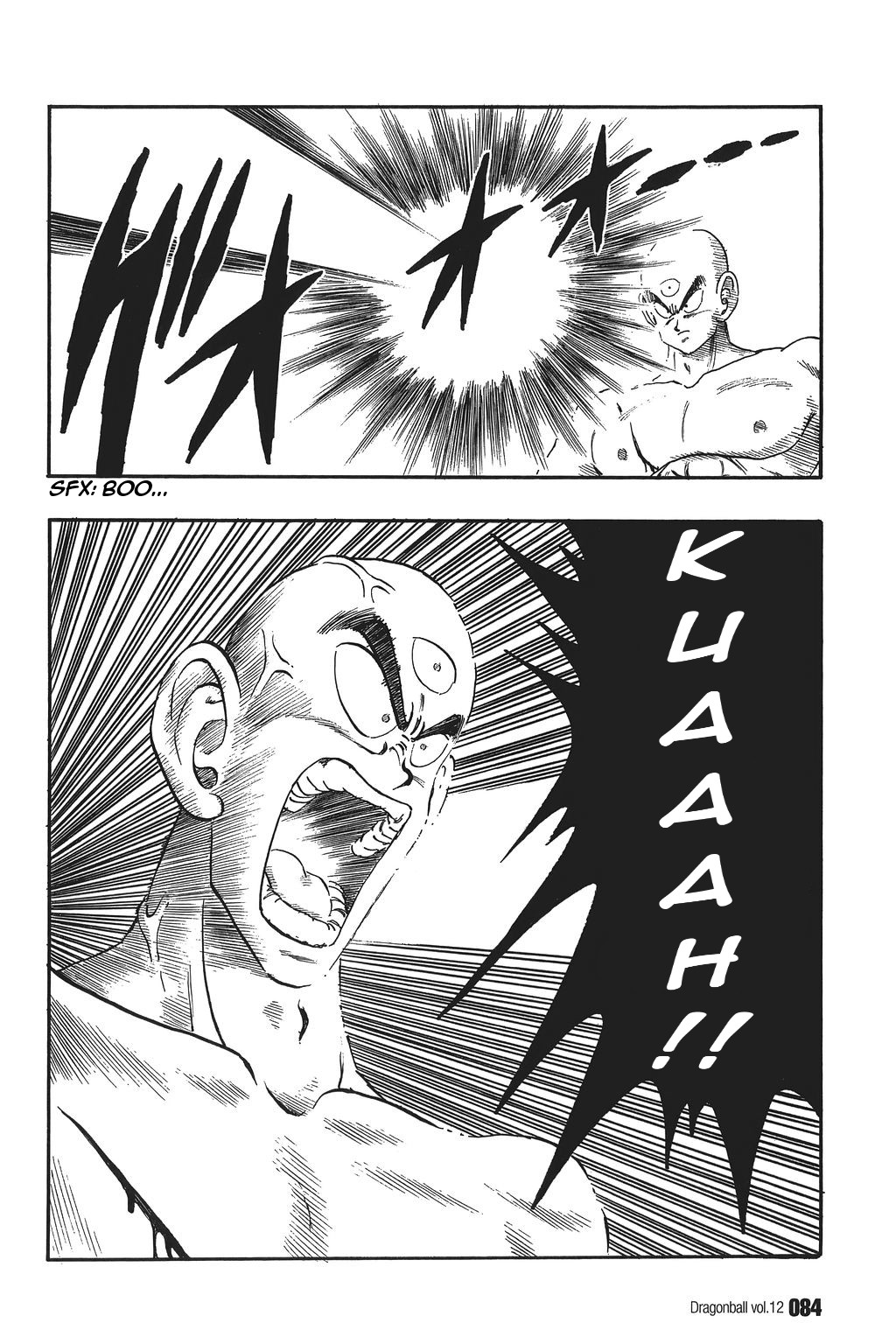 Dragon Ball Chapter 170 10